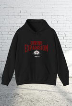 Load image into Gallery viewer, Divine Expansion Hoodie
