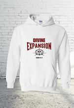 Load image into Gallery viewer, Divine Expansion Hoodie
