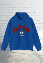 Load image into Gallery viewer, Divine Expansion Hoodie
